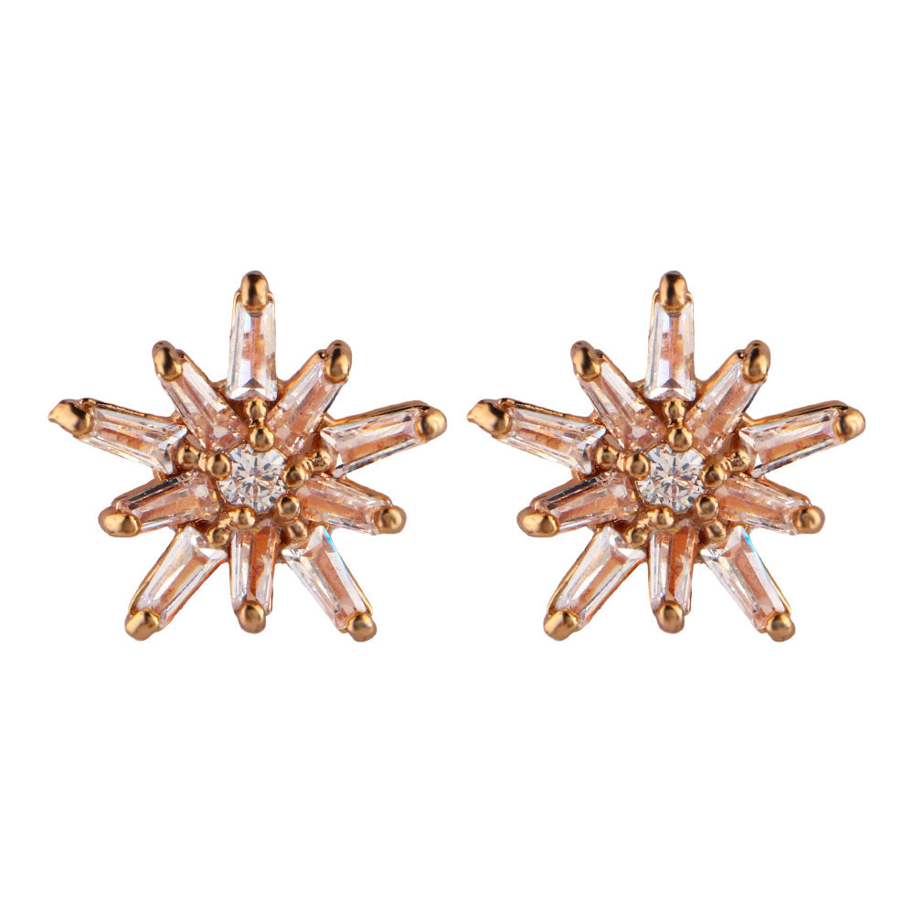 Aurylisse- Stone Studded Zirconia Stud Earrings