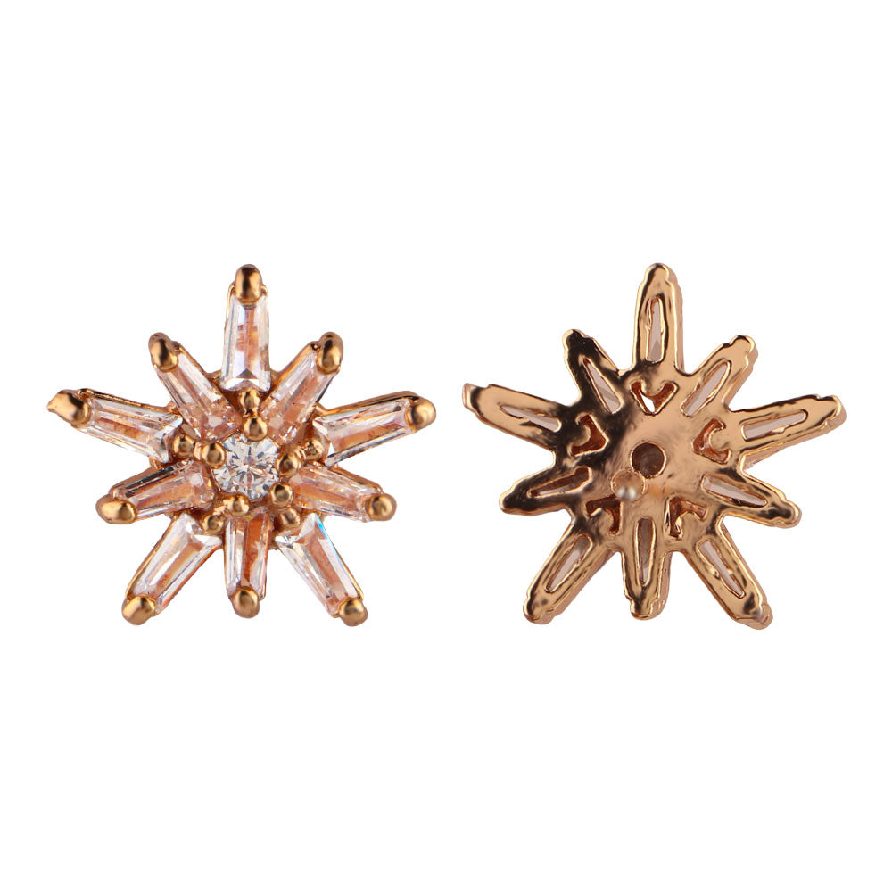 Aurylisse- Stone Studded Zirconia Stud Earrings