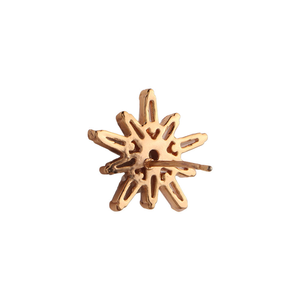Aurylisse- Stone Studded Zirconia Stud Earrings