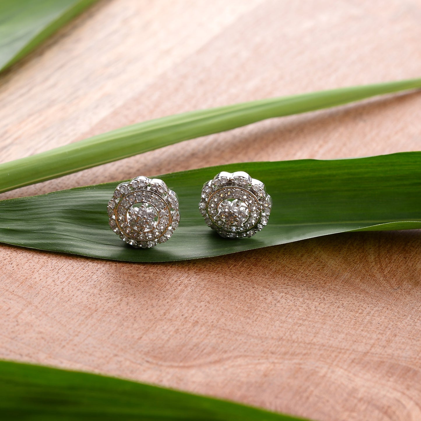 Auralyn- Stone Studded Zirconia Stud Earrings